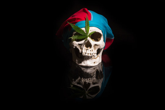 Pirate comedian skull with cannabis, marijuana in black still life style