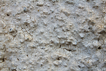 Concrete Rustic Background
