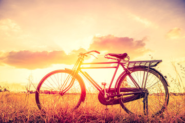 Fototapeta na wymiar Landscape picture Vintage Bicycle with Summer grass field at sunset ; vintage filter style.classic bicycle,old bicycle style for greeting Cards ,post card