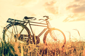 Fototapeta na wymiar Landscape picture Vintage Bicycle with Summer grass field at sunset ; vintage filter style.classic bicycle,old bicycle style for greeting Cards ,post card
