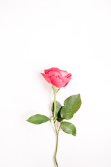 Beautiful red rose flower isolated on white background. Flat lay, top view. Mothers day or valentines day background.