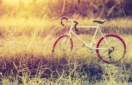 beautiful landscape image Sport Vintage Bicycle with Summer grass field at sunset ; vintage filter style