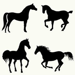Vector silhouette of a horse. Black horse silhouette in movement and standing. Vector illustration.