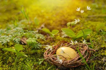 Colorful easter eggs