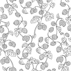Hops plant graphic black white sketch seamless pattern illustration vector