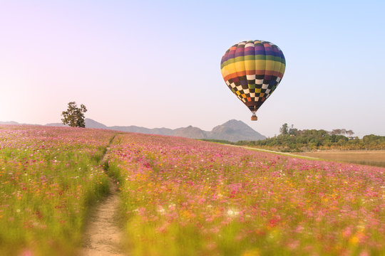 Colorful hot air balloons flying over on Colorful flower fields at sunset