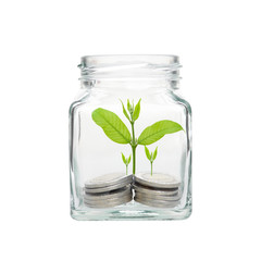 coins with seed in clear bottle on white background,Business investment growth concept,saving concept