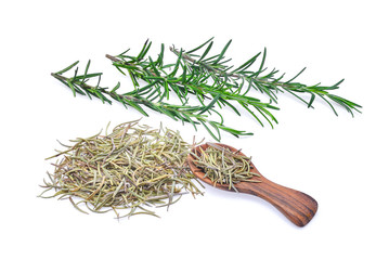 fresh and dried rosemary in wooden spoon isolated on white background.