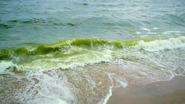 Sea wave with beach, Algal bloom in sea