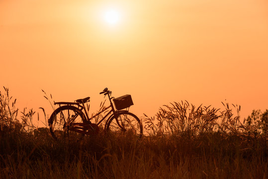 Landscape picture Vintage Bicycle with Summer grass field at sunset ; vintage filter style.classic bicycle,old bicycle style for greeting Cards ,post card © Looker_Studio