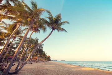 Photo sur Plexiglas Été Landscape of coconut palm tree on tropical beach at sunset in summer. Summer background concept. vintage color tone