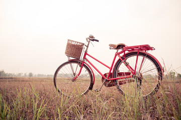 Naklejka na ściany i meble Landscape picture Vintage Bicycle with Summer grass field at sunset ; vintage filter style.classic bicycle,old bicycle style for greeting Cards ,post card