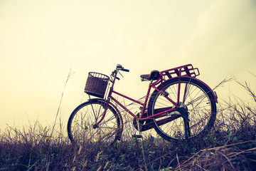 Landscape picture Vintage Bicycle with Summer grass field at sunset ; vintage filter style.classic bicycle,old bicycle style for greeting Cards ,post card