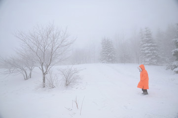 walking in winter, Japan