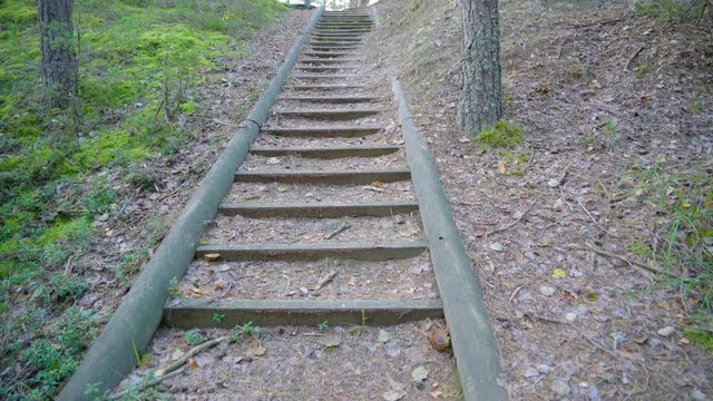 12739_Stairs_going_up_the_Piusa_forest_land_.mov