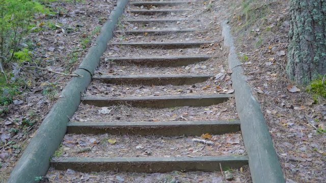 12740_Closer_look_of_the_stairs_going_up_on_the_forest_in_Piusa.mov