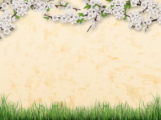 Tree branches with blooming flowers and green leaves on stucco  wall background. Grass on the foreground.