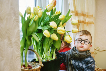 Children with tulips grown at home . The concept of mother's day .