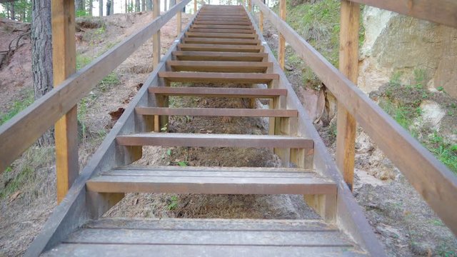 12742_A_wooden_stairs_inside_the_forest_area_in_Piusa.mov
