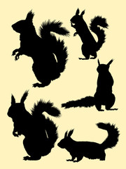 Squirrel animal mammal silhouette. Good use for symbol, logo, mascot, web icon, sign, or any design you want.