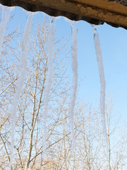 Large icicles hanging from the roof