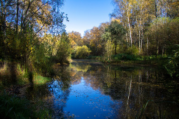 Fototapeta na wymiar Autumn lake. The sky is reflected in water