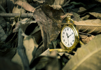 deadline concept pocket watch background