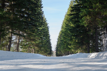 Snow covered road in winter landscape