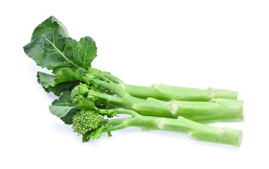 broccolini baby broccoli isolated on white background