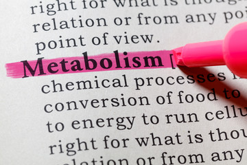 definition of metabolism - obrazy, fototapety, plakaty
