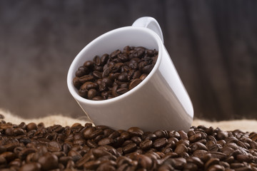 Roasted coffee beans