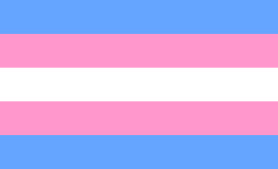 Transgender flag or trans banner with blue and pink strips vector