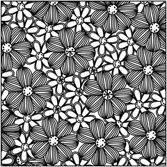 monochrome background with contour flowers set vector illustration