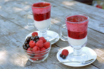Fresh yogurt, fragrant, homegrown, black currant and red raspberry in glasses - healthy dessert 