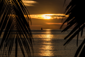 Fishing boat on the horizon on calm sea at sunset framed by palm trees.