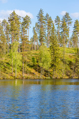 Forest lake with pine trees on a hill