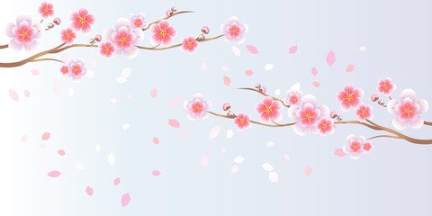 Branches of Sakura and petals flying isolated on light Blue background. Apple-tree flowers. Cherry blossom. Vector 