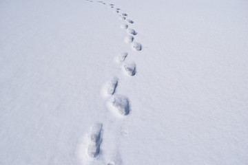 雪景色