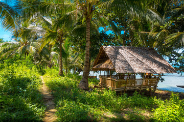Fototapeta na wymiar Jungle hut and Trail by a Turquoise Sea