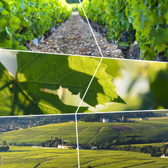 Beaujolais rectangular travel photo collage