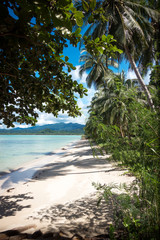 Remote White Sand Paradise Beach in Palawan