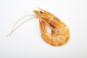 Prawn