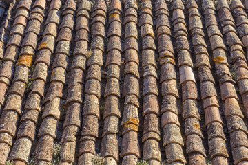 vieille toiture en tuiles canal 