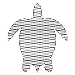 Textured sea turtle on white