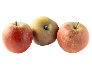 tasty apples