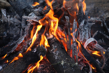 Burning firewood in the fireplace close up