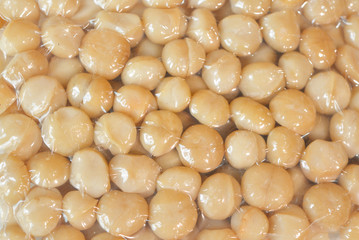 Macadamia nuts in a vacuum seal plastic bag
