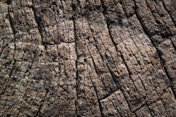 wood texture background