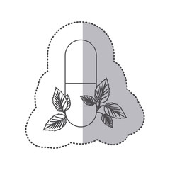 sticker monochrome silhouette pill medical in capsule shape with decorative leaves vector illustration