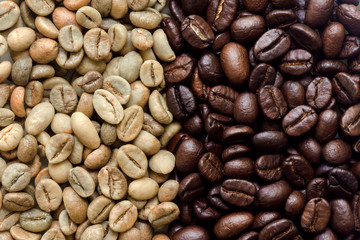 Raw and roasted coffee beans